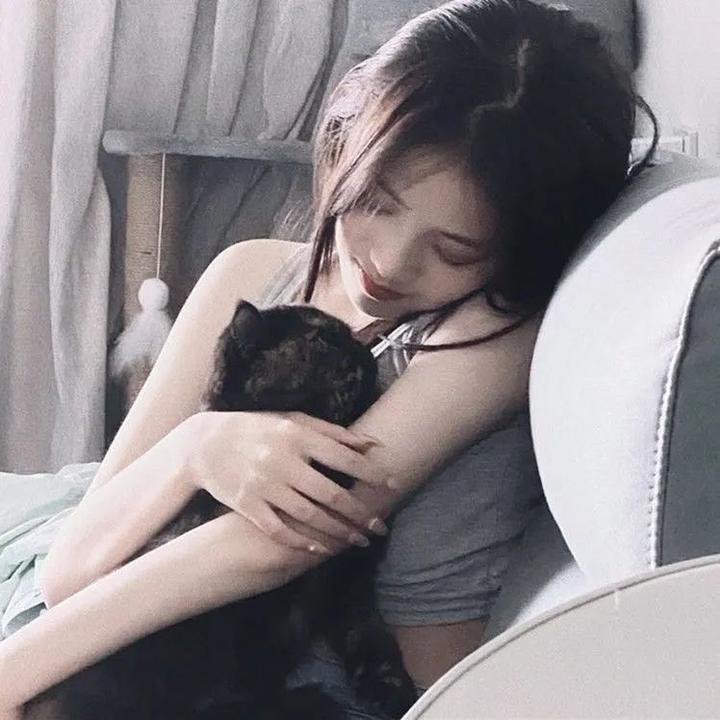 鹈鹕的故事